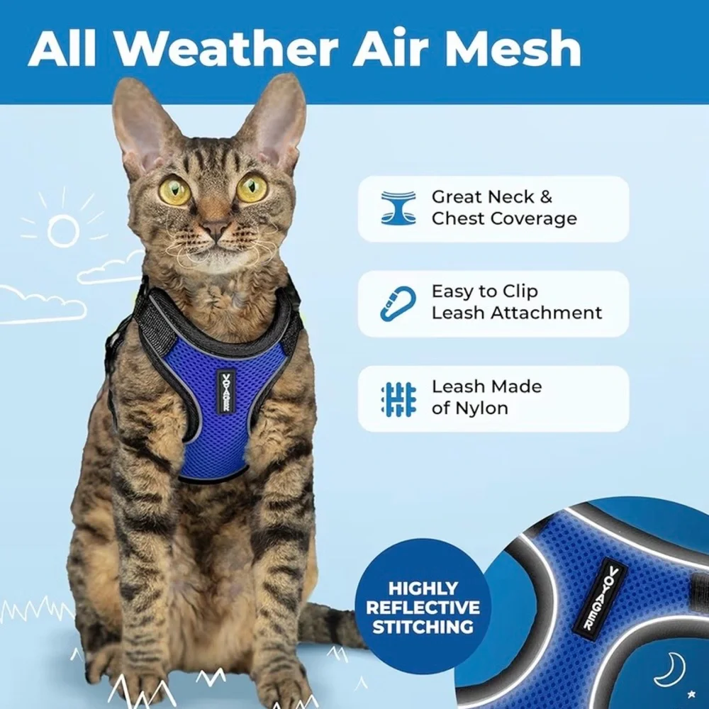 Comfortable Blue Cat Harness and Leash Set